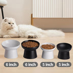 Elevated Cat Bowls, 15° Tilted Ceramic Raised Cat Food and Water Bowl Set, Whisker-Friendly Porcelain Pet Feeder Dishes for Indoor Cats and Small Dogs,White,5.2 Inch,2 Pack