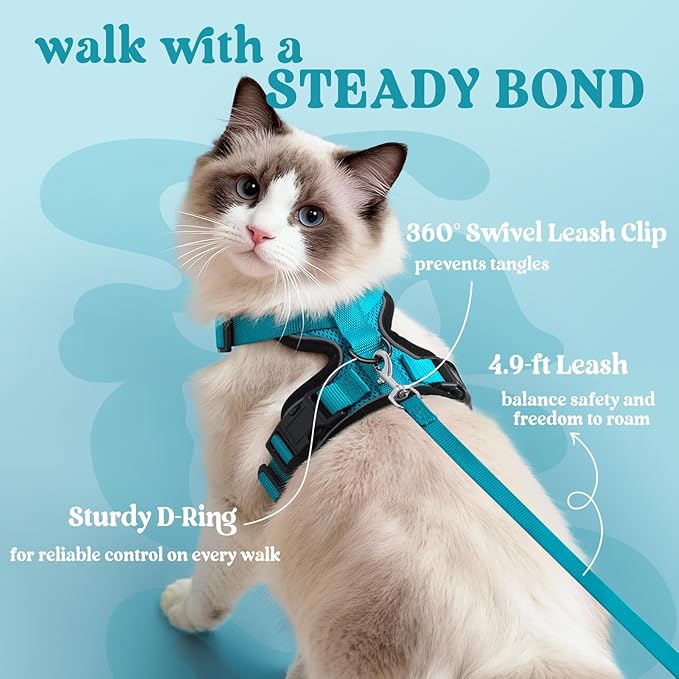 rabbitgoo Cat Harness and Leash Set, Escape Proof Vest, Teal | Soft Breathable Mesh, Easy Adjustable Fit, Snap Buckles, Sturdy Clip, Reflective Strips, for Medium to Large Cats Walks, M