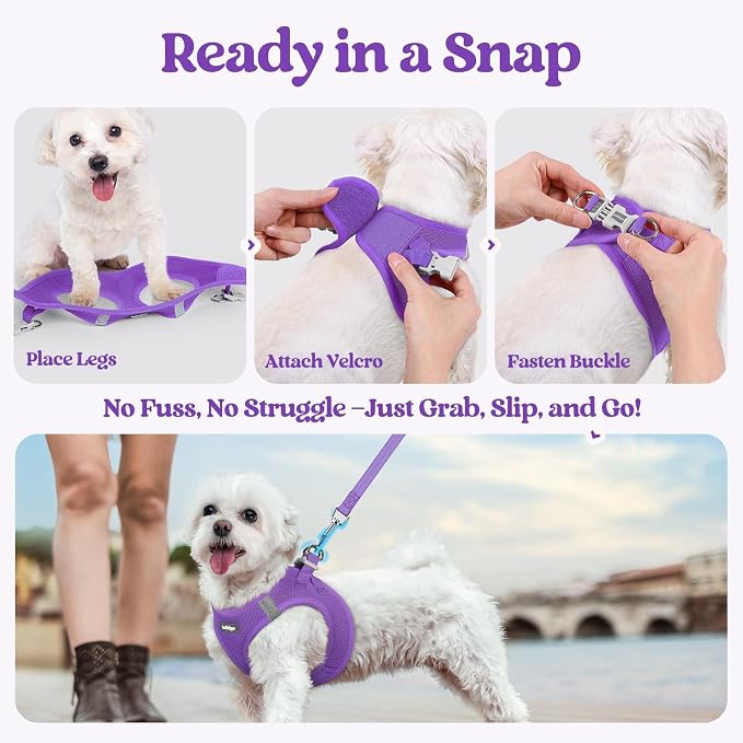 rabbitgoo Dog Harness Small Sized and Leash Set, Step-in Puppy Pet Vest | Light, Soft, Breathable Air Mesh, Easy on and Remove with Hook & Loop, Secure Reflective for Walking, Purple S