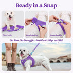 rabbitgoo Dog Harness Medium Sized and Leash Set, Step-in Puppy Pet Vest | Light, Soft, Breathable Air Mesh, Easy on and Remove with Hook & Loop, Secure Reflective for Walking, Purple XXL