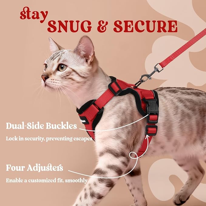 rabbitgoo Cat Harness and Leash Set, Escape Proof Vest, Red | Soft Breathable Mesh, Easy Adjustable Fit, Snap Buckles, Sturdy Clip, Reflective Strips, for Medium to Large Cats Walks, M