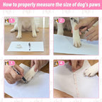 BEAUTYZOO Anti Slip Dog Socks for Small Medium Large Dogs with Grips Straps on Hardwood Floor Protection Wear, Traction Control 3 Pairs Double Side Paw Protector to Prevent Licking for Girl or Boy