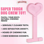 Bullibone Nylon Dog Chew Toy for Aggressive Chewers - Dental Hygiene Bone with Peppermint Flavor, Durable Tough Chew Toys for Large Dogs, Indestructible Dog Bone - 3 Pack