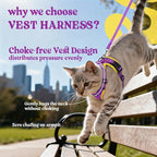 rabbitgoo Cat Harness and Leash Set, Escape Proof Vest, Purple & Yellow | Soft Breathable Mesh, Easy Adjustable Fit, Snap Buckles, Sturdy Clip, Reflective Strips, for Medium to Large Cats Walks, M