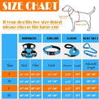 LOBEVE No Pull Dog Harness, Collar & Leash Set | Includes Dog Seat Belt, Collapsible Bowls & Poop Bag Dispenser. Ideal for Training, Walking, Hiking. Fits Small to Large Dogs(Blue-L)