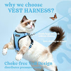 rabbitgoo Cat Harness and Leash Set, Escape Proof Vest, Light Blue | Soft Breathable Mesh, Easy Adjustable Fit, Snap Buckles, Sturdy Clip, Reflective Strips, for Average Cats Walks, S