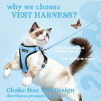 rabbitgoo Cat Harness and Leash Set, Escape Proof Vest, Light Blue | Soft Breathable Mesh, Easy Adjustable Fit, Snap Buckles, Sturdy Clip, Reflective Strips, for Medium to Large Cats Walks, M