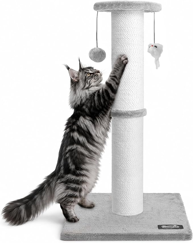 34"Tall Cat Scratching Post for Large Cats, Stable Base, Light Gray | Heavy-Duty Cat Scratcher, Extra-Tall Thick Post, Soft Natural Cotton Rope, Hanging Interactive Cat Toys, Indoor Cat Furniture