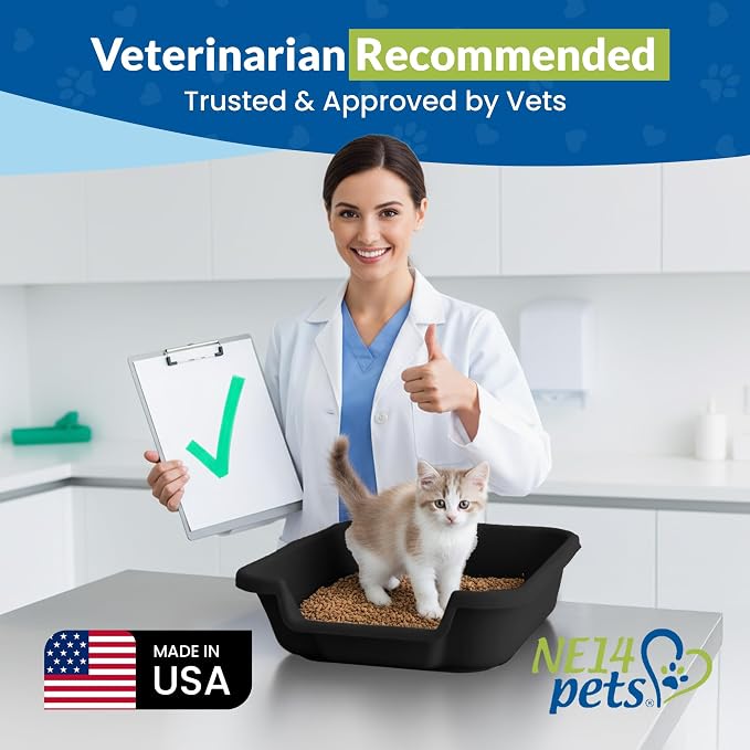 KittyGohere Senior Cat Litter Box Small with Scoop, 2 Pack Black | Open Top Low Entrance Kitty Litter Box With With Long-handle Jumbo Scoop, Lightweight & Durable Litters Box, Made in USA
