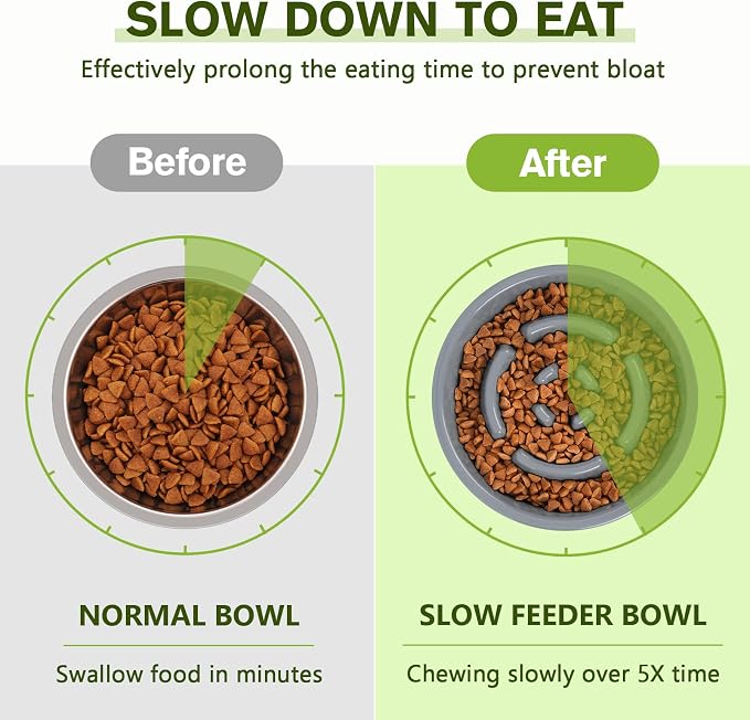 Pecute Slow Feeder Dog Bowls to Slow Down Eating, Dog Slow Feeder Bowl | No-Spill Non-Skid Silicone Mat, Food-Grade Safe Dog Food Bowls Slow Feeder, Stainless Steel Dog Water Bowl for Dogs Cats