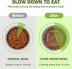 Pecute Slow Feeder Dog Bowls to Slow Down Eating, Dog Slow Feeder Bowl | No-Spill Non-Skid Silicone Mat, Food-Grade Safe Dog Food Bowls Slow Feeder, Stainless Steel Dog Water Bowl for Dogs Cats