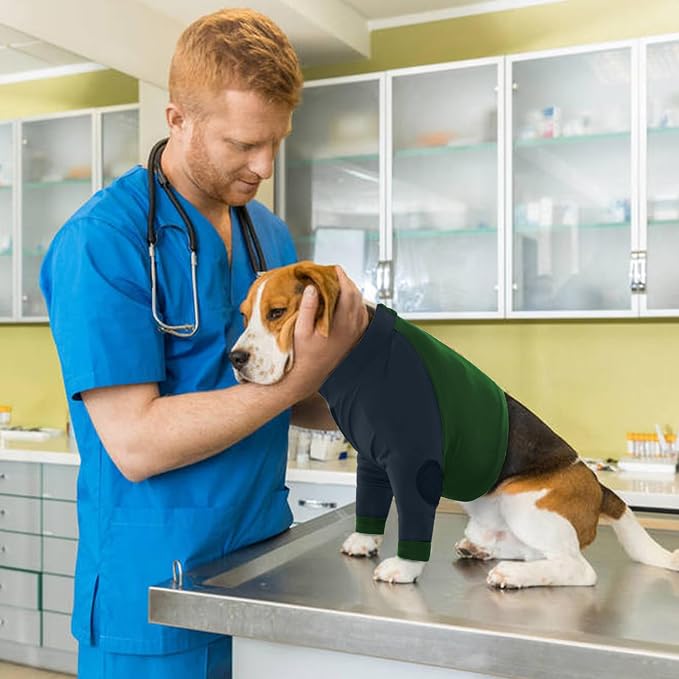 Lelepet Dog Recovery Sleeve for Wounds Front Legs, Stop Licking Dog Shirt | Elbow Protector for Leg Injuries Shoulder Wounds After Surgery Male Female,Zippered Long-Sleeved Shirt Cone Alternative S-3XL