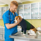 Lelepet Dog Recovery Sleeve for Wounds Front Legs, Stop Licking Dog Shirt | Elbow Protector for Leg Injuries Shoulder Wounds After Surgery Male Female,Zippered Long-Sleeved Shirt Cone Alternative S-3XL