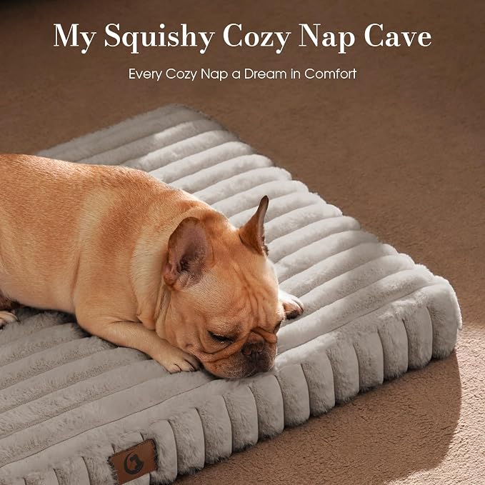 Medium Dog Bed Orthopedic Foam with Waterproof Lining | Egg crate foam for joint support. Soft plush surface. Non-slip bottom. Removable & machine washable cover. OEKO-TEX certified