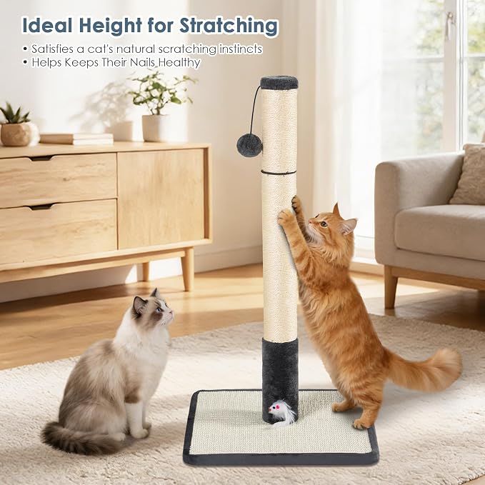 30 in Tall Cat Scratching Post,Thick Natural Sisal Scratcher with 15.8" Large Sisal Base, Interactive Hanging Pom-pom Ball & Plush Mouse Toy, Stable Cat Furniture of Indoor Cats