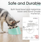 SuperDesign Mess Free 15° Slanted Bowl for Dogs and Cats, Tilted Angle Bulldog Bowl Dog Feeder, Non-Skid & Non-Spill, Easier to Reach Food S/0.5 Cup Teal