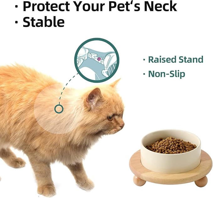 Havniva Raised Cat Bowl 5.1” Elevated Ceramic Cat Food and Water Bowl | Cat Bowls Elevated, Whisker Friendly Cat Bowl, Non-Slip Wood Stand, Food-Grade Ceramic, Wide Opening, Dishwasher Safe