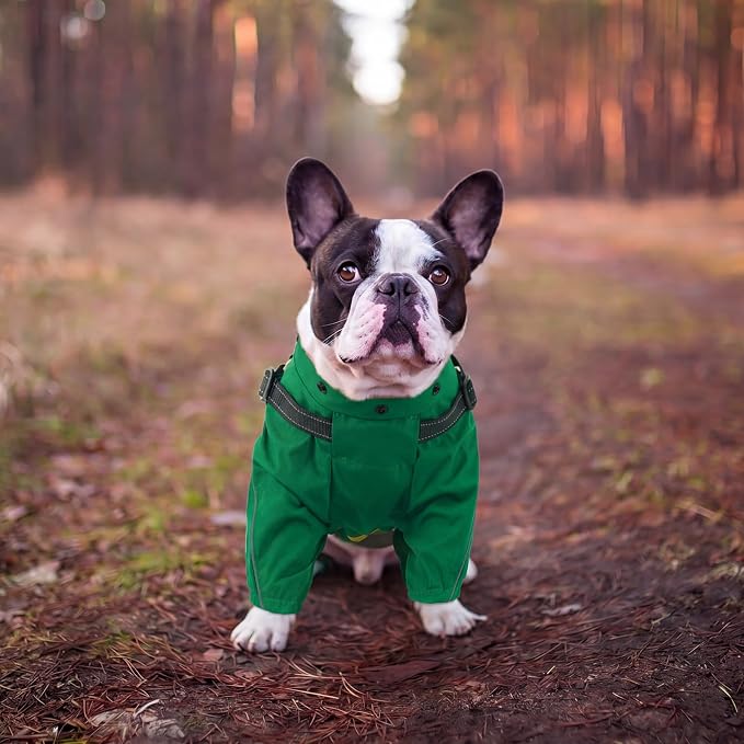 QBLEEV Lightweight Dog Windbreaker, Waterproof Outdoor Jacket, Green, 2XL | Waterproof & windproof | built-in harness | easy on and off with dual closure | reflective safety strips | detachable hood