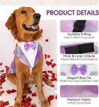 Kuoser Dog Tuxedo, Dog Suit and Bandana Set, Dogs Costume with D-Ring | Formal Dog Outfit with Detachable Bowtie Collar for Wedding, Birthday, Party, Christmas, Halloween, Purple XL