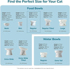 Necoichi Ceramic Elevated Cat Food Bowl (Sakura, Regular Flat)