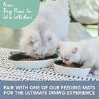 The Cat Ladies Ceramic Cat Bowls - Whisker Friendly Food Bowl - Cute Pet, Kitten Plates - Dishes for Indoor Cats - Dish for Wet Food & Water - Platos para Gatos - Black and White Cat, Small