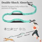 iYoShop Hands Free Dog Leash with Zipper Pouch, Dual Padded Handles and Durable Bungee for Walking, Jogging and Running Your Dog (Large, 25-120 lbs, Teal)