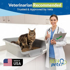 KittyGoHere Senior Cat Litter Box Jumbo with Scoop - 2 Pack Misty Gray | Open Top Low Entrance Kitty Litter Box With Long-handle Jumbo Scoop, Lightweight Low Entry Litters Box, Durable, Made in USA