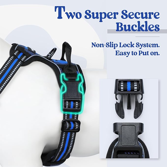 rabbitgoo Dog Harness, No Pull for Large Dogs with 2 Leash Clips, Pet Vest | No Choke with Handle, Adjustable Soft Padded, Reflective, Easy Control for Walking, Blue Plaid, X-Large