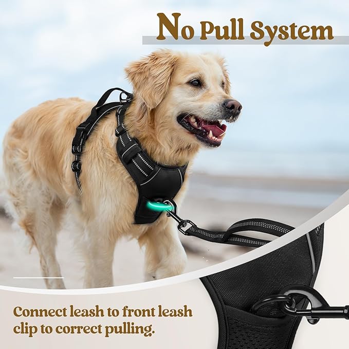 rabbitgoo Dog Harness, No Pull for Small Dogs with 2 Leash Clips, Pet Vest | No Choke with Handle, Adjustable Soft Padded, Reflective, Easy Control for Walking, Black, Small