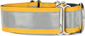 If It Barks - 1.5" Reflective Martingale Collar for Dogs - Adjustable - Made in USA - Strong, Durable, and Comfy - Ideal for Training - Suitable for Most Breeds - Large, Yellow Gold