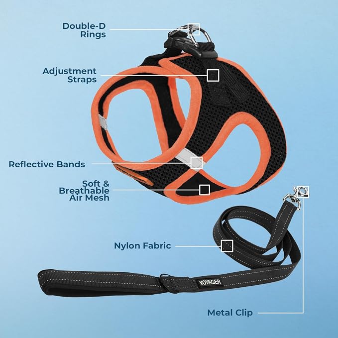 Best Pet Supplies Voyager Step-in Air All Weather Mesh Harness and Reflective Dog 5ft Leash Combo with Neoprene Handle, for Small, Medium and Large Breed Puppies - Black/Orange Trim, X-Large