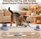 Jripae Automatic Interactive Cat Toys for Indoor Cats with DIY Chase Track | Adjustable Speed, Rechargeable Electric Moving Treadmill Self-Play Exercise Toy with Feather for Bored Kittens & Adult Cats