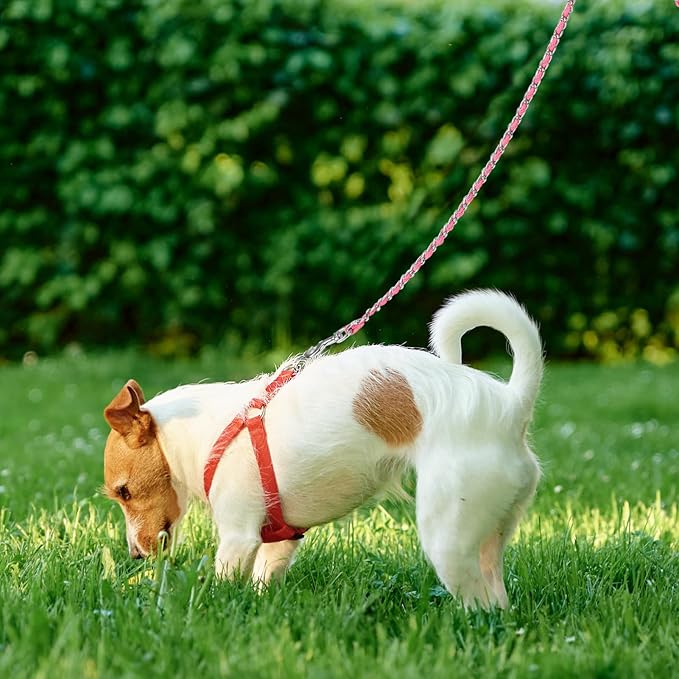 HOMIMP Chew Proof Dog Leash for Medium Large Dogs, Reflective 6 FT Heavy Duty Metal Chain Dog Leashes with Soft Padded Handle, Anti Bite Durable Rope Leashes for Pitbull, Non Chewable, Light Pink