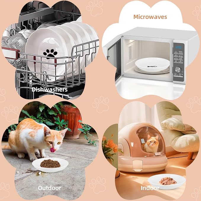 6 Pack Cat Food Bowl, Ceramic Cat Bowls, Anti Whisker Fatigue Cats Bowl Set | 5.5 Inches Shallow Wide Kitten Plates for Food and Water (White-E)