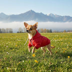 Dog Raincoat rain Jacket Raincoat Dogs Waterproof Small Medium Breeds Zip Closure Storage Pocket Harness Hole Red XS