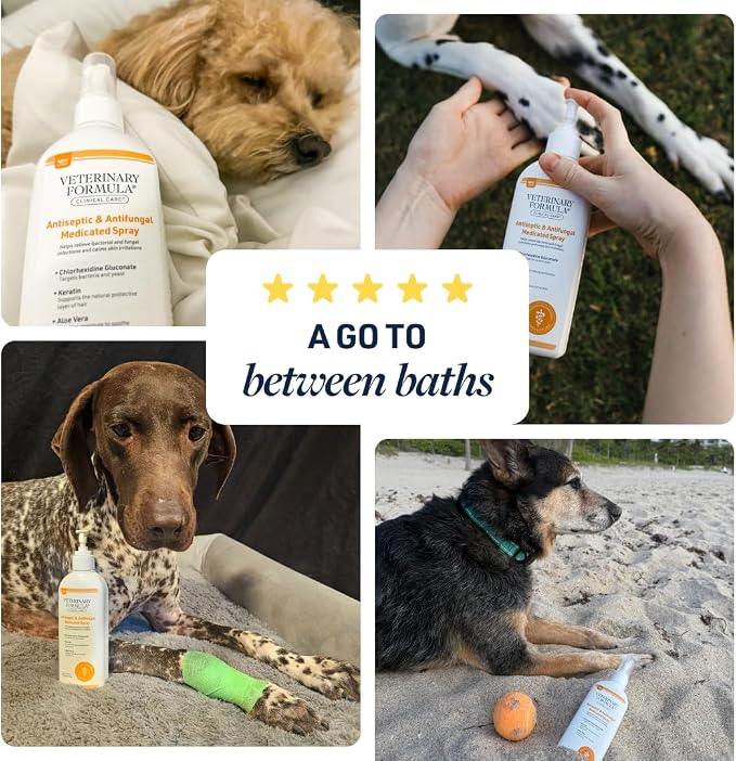 Veterinary Formula Clinical Care Antiseptic/Antifungal Spray, 8 oz, 2-Pack | Two 8 oz medicated sprays for dogs and cats with antiseptic and antifungal care for scaly, greasy, red or odor-prone skin