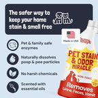 Sunny & Honey Pet Stain and Odor Remover for Carpets, 1 Gallon Spice | USA Made - Enzyme Cleaner for Dog Urine & Poop - Eliminates Set In Stains - Color Safe - For Rugs, Furniture & Car Seats