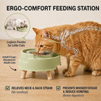2 Pack Ant Not Cross Elevated Cat Bowls Mess Proof-4 Food Grade Glass Bowls & 2 Lids- No Spill Cat Food and Water Feeding Station for Cats&Puppy Indoor & Outdoor,No Whisker Fatigue Dish,Green