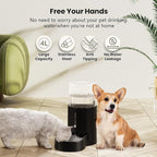 CZPET Automatic 4L/135Oz/1Gal Cat Water Dispenser with Stainless Steel Bowl, Gravity Waterer for Small Medium Dog Puppy Kitten (Black) | With Stainless Steel Bowl, Gravity Waterer for Small Medium Dog Puppy Kitten