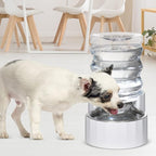 RIZZARI 5L Gravity Cat Water Dispenser: Filtered for Small Pets | Reduced Refills / Stainless Steel Bowl / Anti Splash Base /BPA-Free Materials/ Easy Cleaning / Kitchen Living Room Use