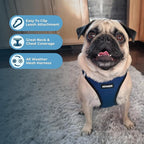 Best Pet Supplies Voyager Step-in Air All Weather Mesh Harness and Reflective Dog 5ft Leash Combo with Neoprene Handle, for Small, Medium and Large Breed Puppies - Blue/Black Trim, Small