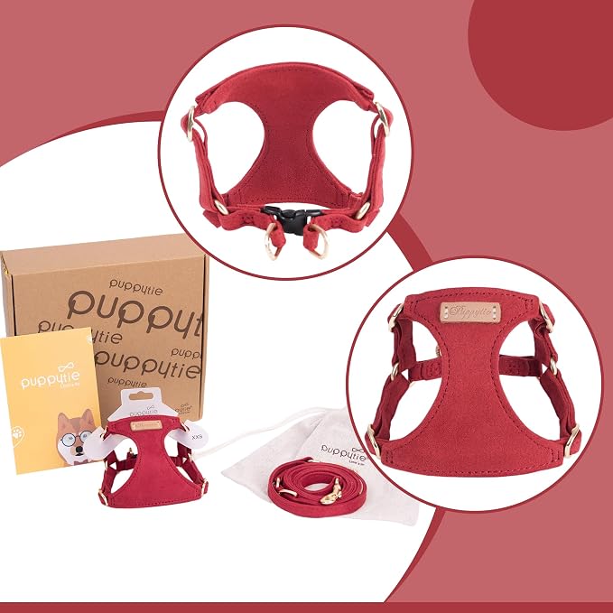 Puppytie XS Dog Harness and Leash Set, Red Hawthorn, XS (4.5-11 lbs) | Extra Small Dog Harness, Puppy Harness and Leash, Soft Lightweight and Adjustable, Xsmall Dog Harness for Daily Walks