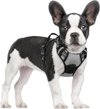rabbitgoo Dog Harness, No Pull for Small Dogs with 2 Leash Clips, Pet Vest | No Choke with Handle, Adjustable Soft Padded, Reflective, Easy Control for Walking, Gray, Small