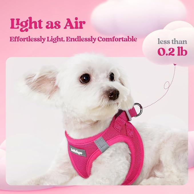 rabbitgoo Dog Harness Small Sized and Leash Set, Step-in Puppy Pet Vest | Light, Soft, Breathable Air Mesh, Easy on and Remove with Hook & Loop, Secure Reflective for Walking, Rose Red S