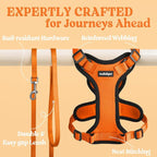 rabbitgoo Cat Harness and Leash Set, Escape Proof Vest, Orange | Soft Breathable Mesh, Easy Adjustable Fit, Snap Buckles, Sturdy Clip, Reflective Strips, for Medium to Large Cats Walks, M