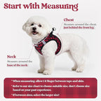 rabbitgoo Dog Harness Small Sized and Leash Set, Step-in Puppy Pet Vest | Light, Soft, Breathable Air Mesh, Easy on and Remove with Hook & Loop, Secure Reflective for Walking, Red Check S