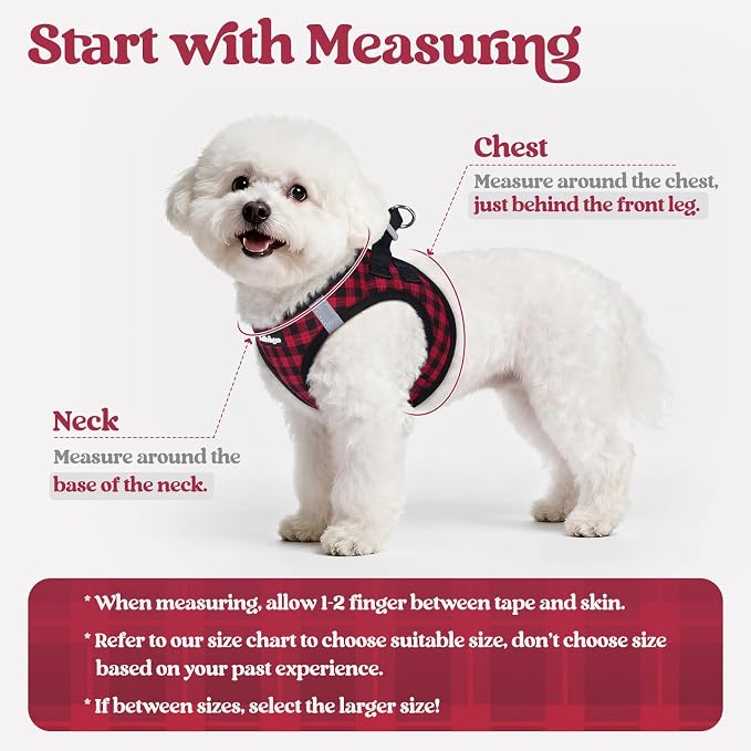 rabbitgoo Dog Harness Small Sized and Leash Set, Step-in Puppy Pet Vest | Light, Soft, Breathable Air Mesh, Easy on and Remove with Hook & Loop, Secure Reflective for Walking, Red Check XS