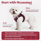 rabbitgoo Dog Harness Small Sized and Leash Set, Step-in Puppy Pet Vest | Light, Soft, Breathable Air Mesh, Easy on and Remove with Hook & Loop, Secure Reflective for Walking, Red Check XXS