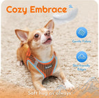 Eagloo Small Dog Harness and Leash Set, Step in Extra Small Puppy Pet Vest | Light, Soft, Breathable Air Mesh, Easy on and off with Hook & Loop, Reflective for Safe Walking, Orange, XXS