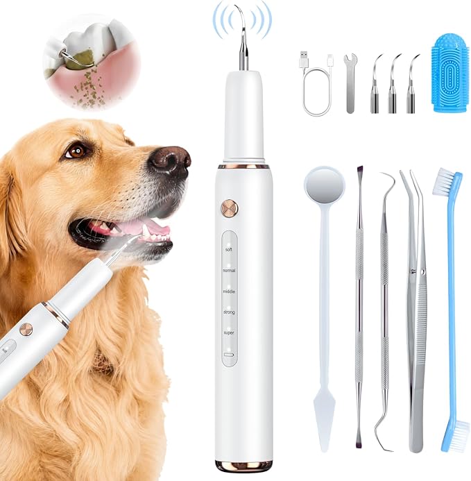 Dog Plaque Tartar Remover for Teeth - Dog Teeth Cleaning Kit, Electric Remover with LED Light, 5 Adjustable Modes, Safe Pet Tooth Cleaner, Dental Care Tool for Dogs